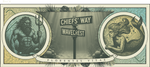 Custom Coins for CIWT CPOA