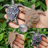 Florida Chiefs Turtle coin